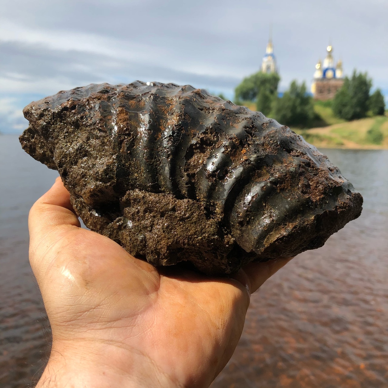 варчва